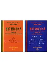 Manual matematica Clasa 12 M1 - 2 Volume 2007
