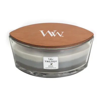 Lumanare parfumata WARM WOODS, 453 GR