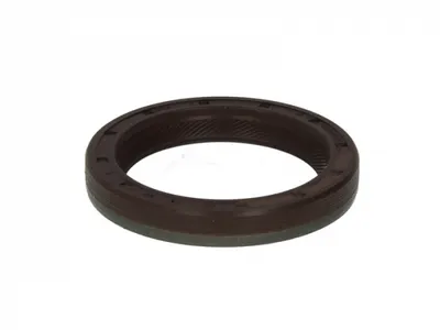 Simering diferential (40x55x8) MERCEDES 190 (W201), C T-MODEL (S202), C (W202), CLK (A208), CLK (C208), COUPE (C124), E (A124), E (C124), E T-MODEL (S124), E T-MODEL (S210) 1.4-4.3 intre 1976-2014