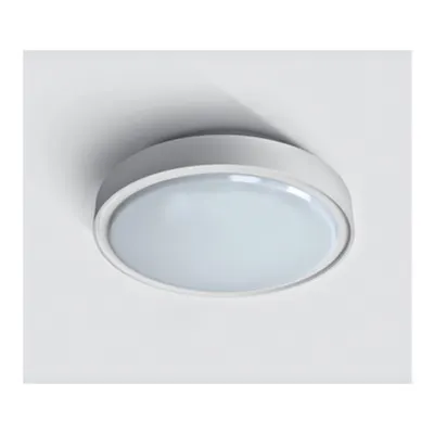 Berry LED 24W, 4000K, 1440lm, 230V, IP65, plastic, alb