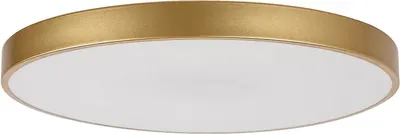 LED Plafon Rabalux - Tesia 71038, IP 20, 60 W, reglabil, aurie