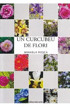 Un curcubeu de flori