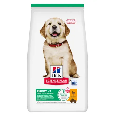 Hills SP CANINE PUPPY LB CHK, hrana uscata pentru caini juniori, de talie mare, cu pui, 6 KG