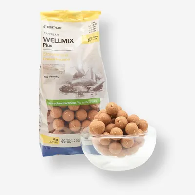 Boilies Pescuit la Crap Wellmix Plus 20mm 1kg Strawbanana