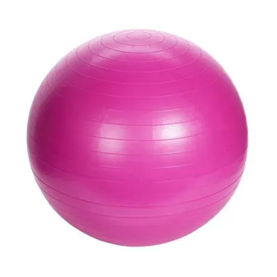 Minge pentru fitness, 55 cm, XQ Max, roz