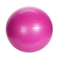 Minge pentru fitness, 55 cm, XQ Max, roz