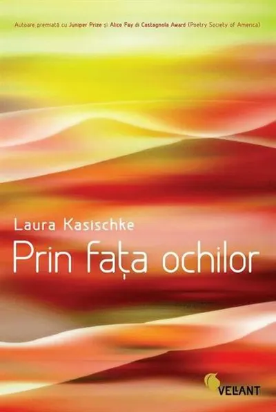 Prin fata ochilor - Paperback brosat - Laura Kasischke