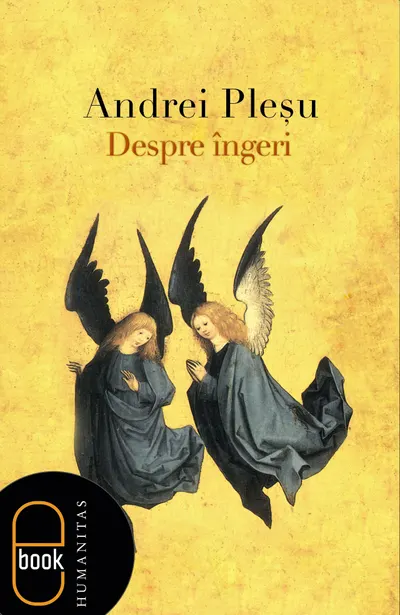 Despre ingeri (epub)