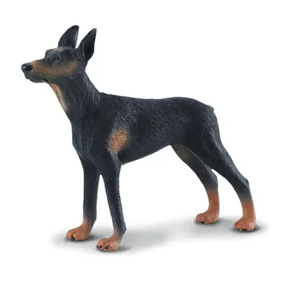 Figurina pictata manual caine Doberman Pinscher
