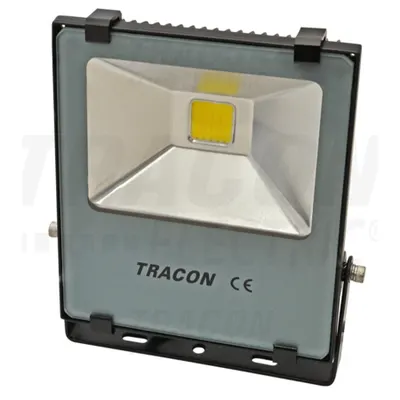 Proiector cu LED SMD RSMDS30W 100-240 V AC, 30 W, 2400 lm, 4500 K; IP65, EEI=A