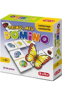 Primul meu Domino