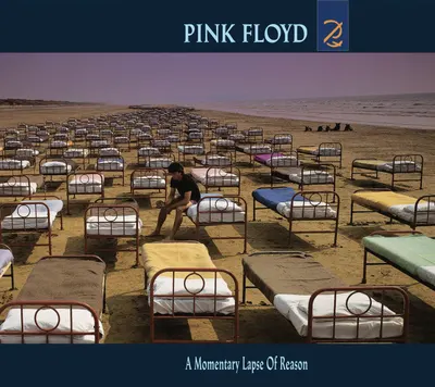 A Momentary Lapse Of Reason