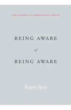 Being Aware of Being Aware