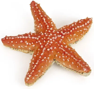 Papo Figurina Starfish