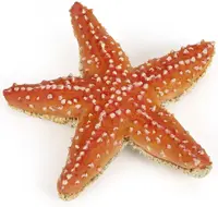Papo Figurina Starfish