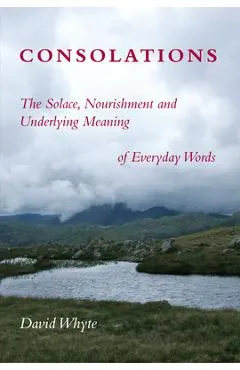 Consolations: The Solace, Nourishment and Underlying Meaning of Everyday Words