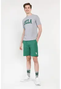 Tricou bărbați - regular fit - imprimeu cu logo - gri -