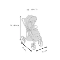 Carucior pentru copii Avionaut Sirius Grey 2 in 1 cu suspensie, maner telescopic, geanta, greutate admisa 22 kg
