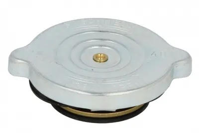 Buson vas expansiune (0,4bar) potrivit SCANIA 3, 3 BUS; VOLVO F10, F12 DS11.34-TD121GD 01.76