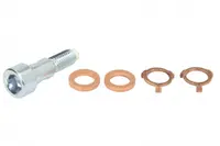 Surub cap tubular turbina (M10x1,5 orificiu) potrivit DS DS 3, DS 4, DS 5; CITROEN BERLINGO, BERLINGO MULTISPACE, BERLINGO MINIVAN, C3 I, C3 II, C3 PICASSO, C4 GRAND PICASSO I 1.4D 1.5D 1.6D 02.02-