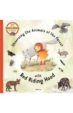 Observing the Animals of the Forest with Little Red Riding Hood