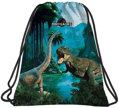 Geantă de sport Derform Dinosaurs 19