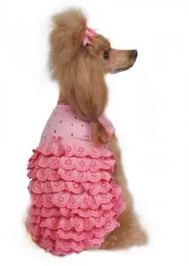 Rochita Dorotea - S - Roz