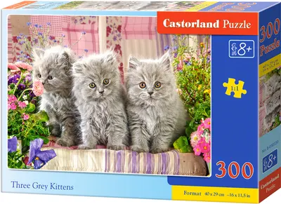 Puzzle Castorland din 300 de piese - Trei pisoi gri