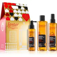 Farmona Jantar Damaged Hair set cadou pentru păr