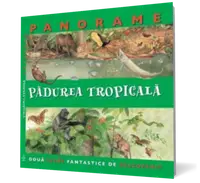 Pădurea tropicală