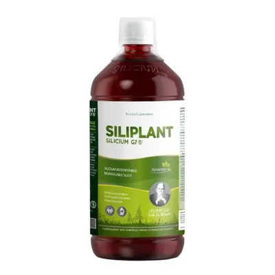 Siliciu Organic Extras din Planta Coada-calului, 1000 ml, G7 Siliplant