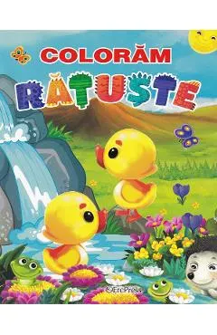 Coloram Ratuste
