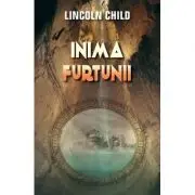 Inima furtunii