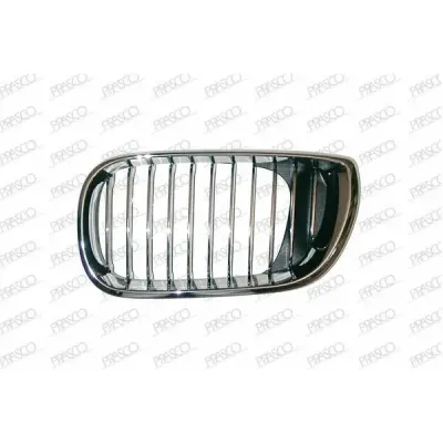 Grila radiator PRASCO BM0202014