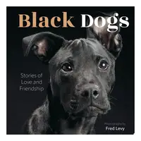 Black Dogs Stories of Love and Friendship