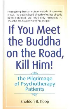 If You Meet the Buddha on the Road, Kill Him: The Pilgrimage of Psychotherapy Patients