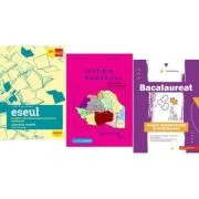 Pachet Bacalaureat Limba si literatura romana Eseul, Logica si Istoria romanilor