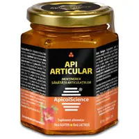 Api Articular 200ml