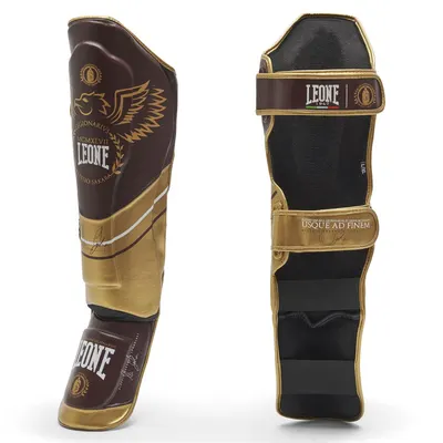 Tibiere Leone Legionarius