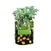 Sac pentru cultivare cartofi Esschert Design, verde