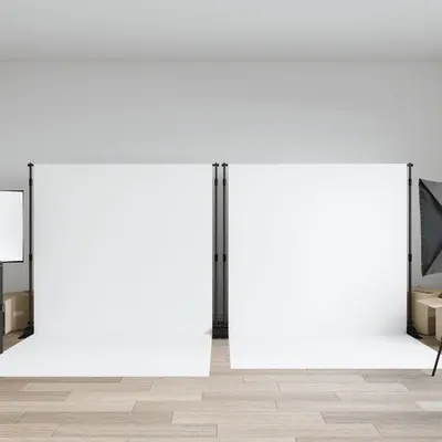 vidaXL Suporturi pentru fundal, 2 buc., negru, 305x243 cm, oțel