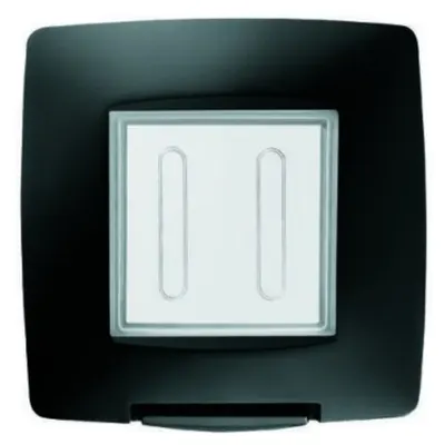 Watertight Plate International Standard - 2 Modul Ip55 - Black - Cproiector Horus