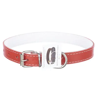 Zgarda din piele, rosie, pentru caini de talie medie, 2 cm x 45 cm