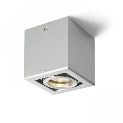 BERIT I aluminum 230V GU10 50W