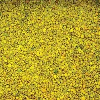 Nisip Acvariu ACV 2,5 Kg
