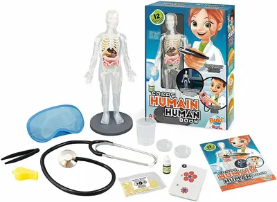 Jucarie educativa - Corps Humain / Corpul uman: 12 experimente