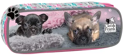 Penar școlar oval Derform Cleo & Frank - Puppies, cu un fermoar