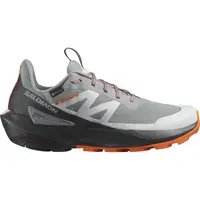 Salomon Pantofi Drumetie Barbati Elixir Activ Gore-Tex Gri