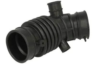 Palnie filtru aer potrivit NISSAN ALMERA II, SENTRA V 1.8 2.0 01.00-12.06