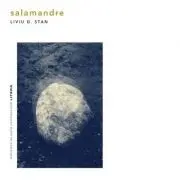 Salamandre